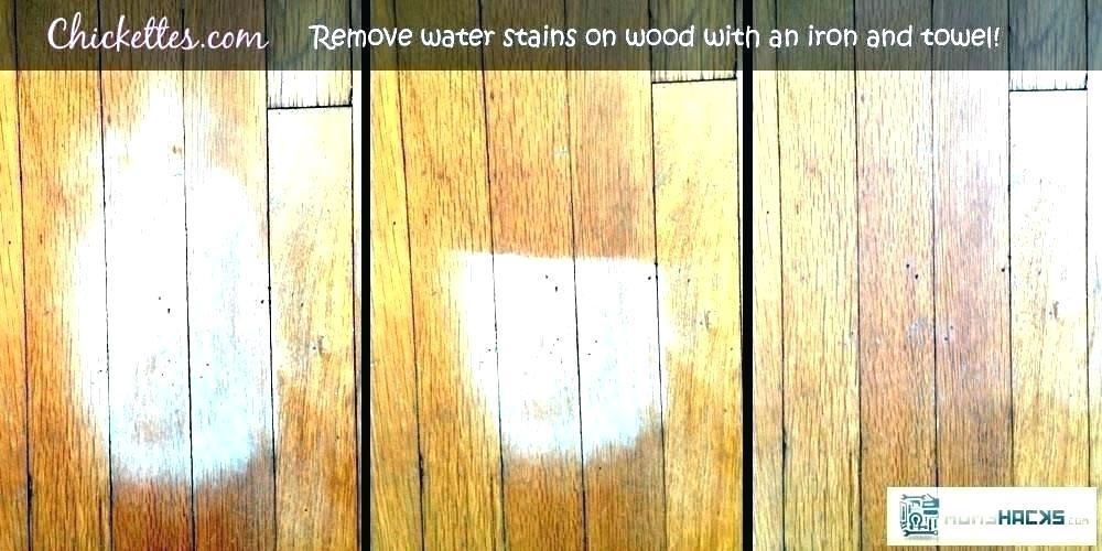 Tempting Cat Urine Hardwood Floor