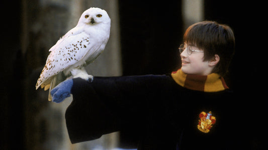 We’re Giving Away Some Harry Potter Toys – Here’s How You Can Win